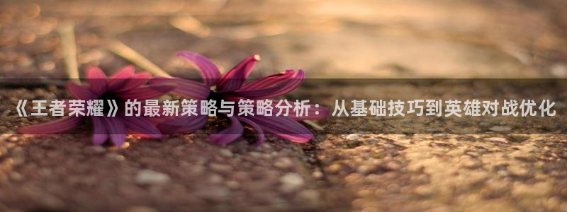 长征娱乐4主管：《王者荣耀》的最新策略与策略分析：从基础技巧