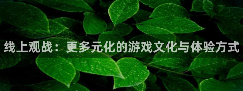 长征娱乐官方注册登录：线上观战：更多元化的游戏文化与体验方式
