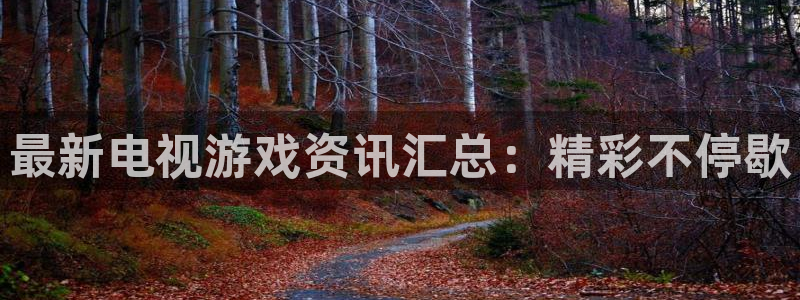 长征娱乐科技：最新电视游戏资讯汇总：精彩不停歇