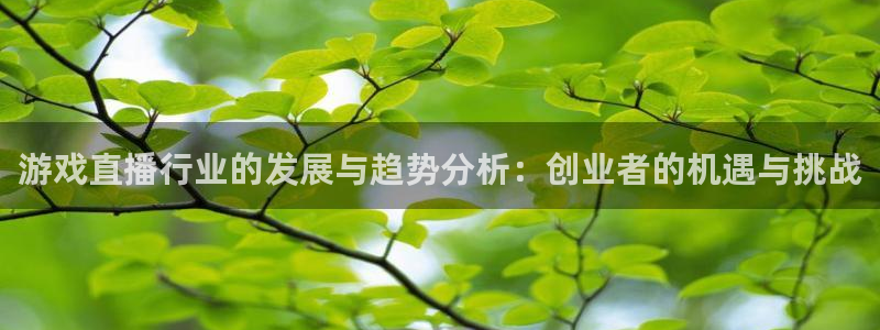 长征娱乐官网入口下载安装