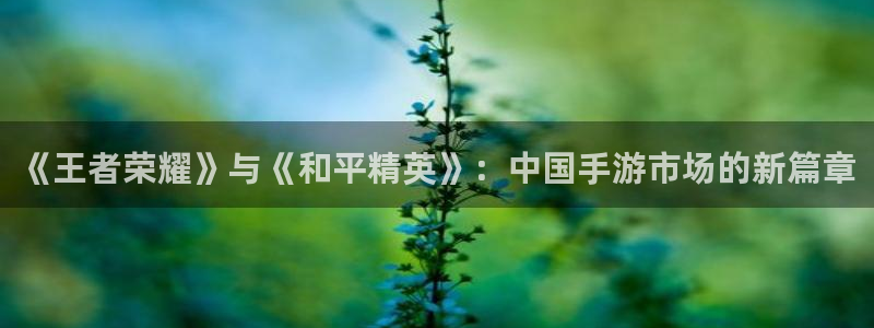长征娱乐总代理是谁：《王者荣耀》与《和平精英》：中国手游市场