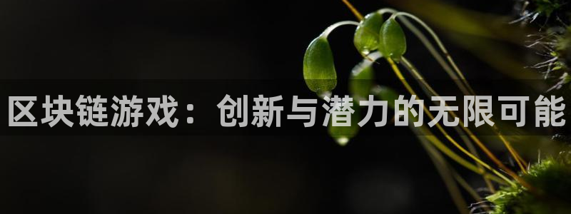 长征娱乐网页登录入口:区块链游戏:创新与潜力的无限可能