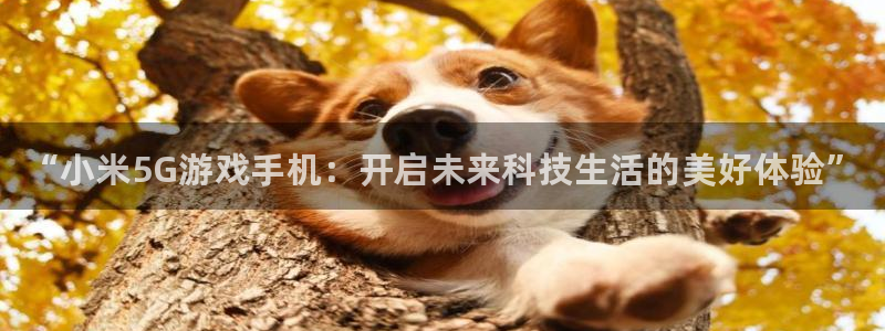 长征娱乐app：“小米5G游戏手机：开启未来科技生活的美好体