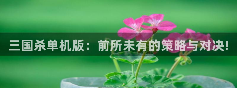 长征娱乐官方注册登录：三国杀单机版：前所未有的策略与对决!