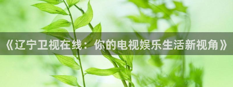 cc体育直播吧：《辽宁卫视在线：你的电视娱乐生活新视角》
