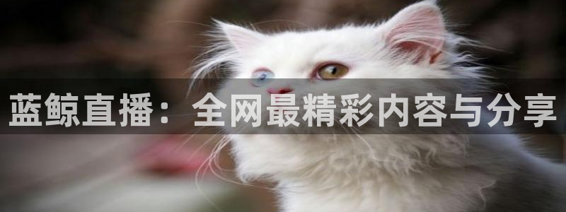 yy体育直播吧：蓝鲸直播：全网最精彩内容与分享