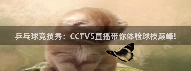 新足球体育直播吧：乒乓球竞技秀：CCTV5直播带你体验球技巅峰!