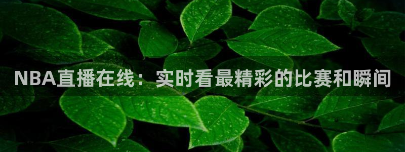 500体育直播吧nba：NBA直播在线：实时看最精彩的比赛和瞬间
